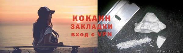 шишки Лиски