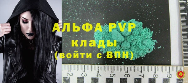 дмт Ладушкин