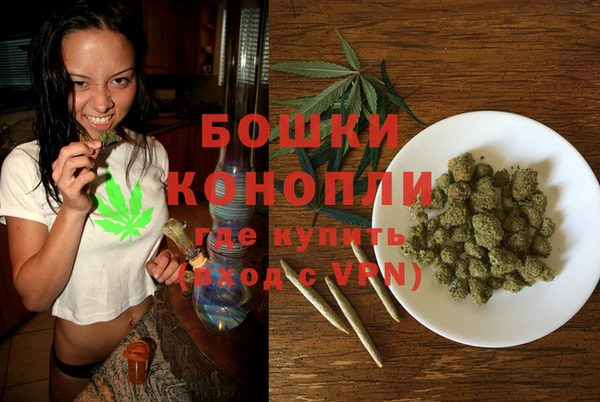 дживик Баксан