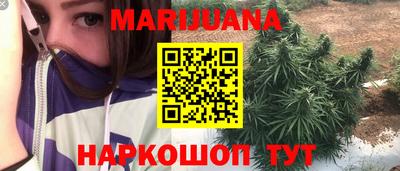 индика Аргун