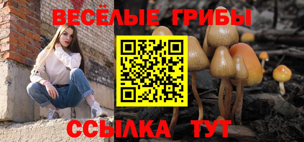 Псилоцибиновые грибы Magic Shrooms  где можно купить   Галлюциногенные грибы Psilocybine cubensis  Усинск 