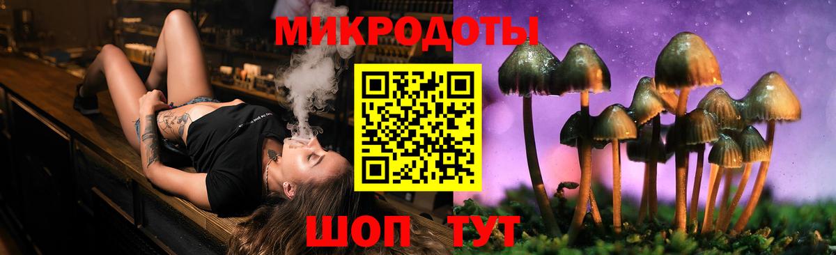 Галлюциногенные грибы Psilocybine cubensis Усинск